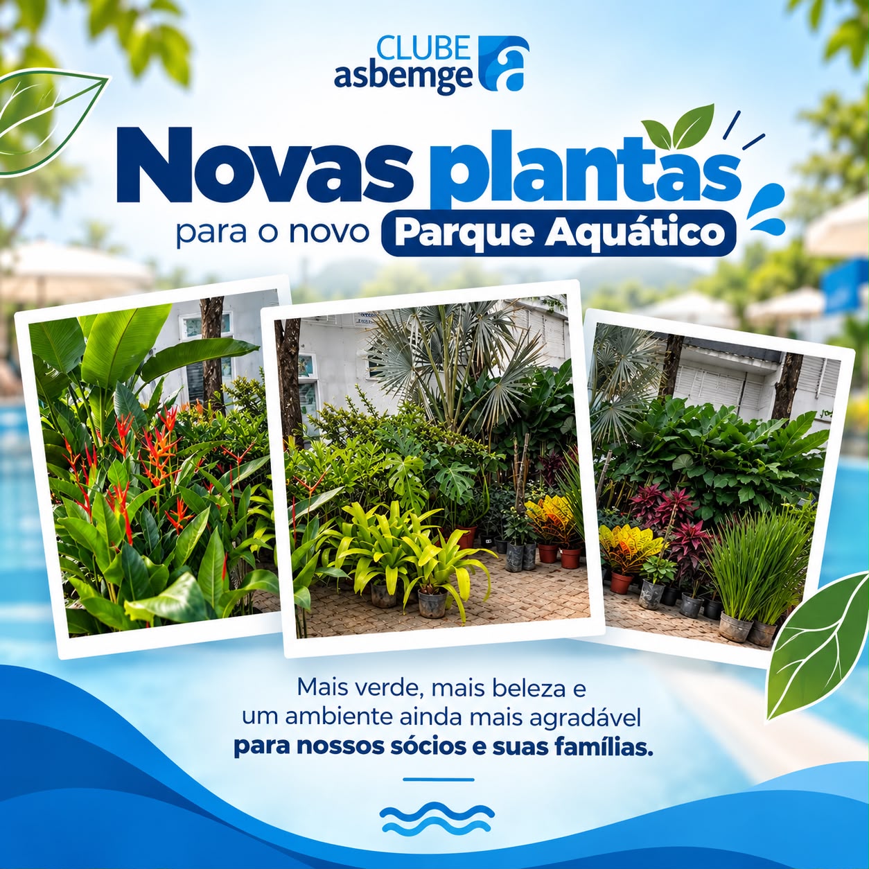O Clube Asbemge está ficando ainda mais verde!